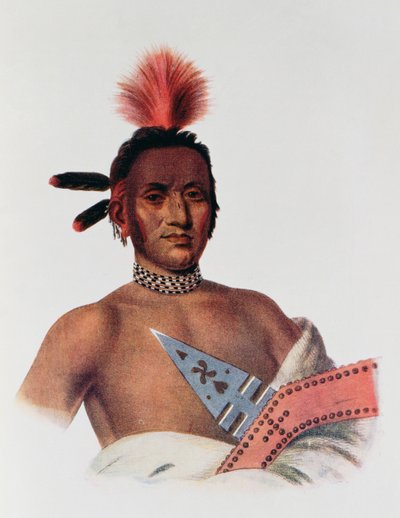 Moa-Na-Hon-Ga أو "Great Walker" ، رئيس ولاية أيوا ، 1824 ، رسم توضيحي من "القبائل الهندية لأمريكا الشمالية ، المجلد 1" ، بقلم توماس ل. مكيني وجيمس هول ، الحانة. جون جرانت بواسطة تشارلز بيرد كينج