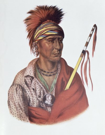 نوتشيمين أو نو هارت ، رئيس ولاية أيوا ، 1837 ، رسم توضيحي من "القبائل الهندية لأمريكا الشمالية ، المجلد 2" ، بقلم توماس ل. مكيني وجيمس هول ، الحانة. جون جرانت بواسطة تشارلز بيرد كينج