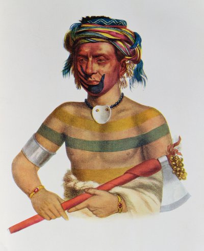 Shau-Hau-Napo-Tinia ، رئيس ولاية أيوا ، 1837 ، رسم توضيحي من "القبائل الهندية لأمريكا الشمالية ، المجلد الأول" ، بقلم توماس ل. مكيني وجيمس هول ، الحانة. جون جرانت بواسطة تشارلز بيرد كينج
