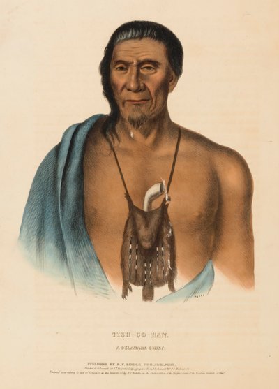 تيش-كو-هان. A DELAWARE CHIEF.، من تاريخ القبائل الهندية في أمريكا الشمالية بواسطة تشارلز بيرد كينج