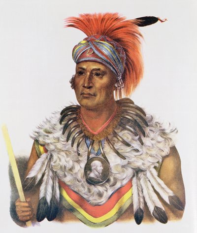 Wapella أو أمير الثعالب ، 1837 ، رسم توضيحي من "القبائل الهندية لأمريكا الشمالية ، المجلد 2" ، بقلم توماس ل. مكيني وجيمس هول ، الحانة. جون جرانت بواسطة تشارلز بيرد كينج