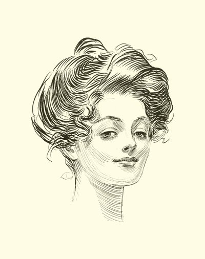 رسم توضيحي للسلم الاجتماعي بواسطة تشارلز دانا جيبسون