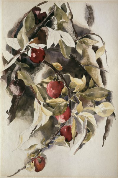 الخوخ ، 1925 بواسطة Charles Demuth