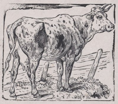 بقرة ، كاليفورنيا. 1853. بواسطة تشارلز إميل جاك