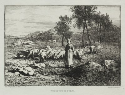 قطيع من الخنازير ، 1868. بواسطة تشارلز إميل جاك