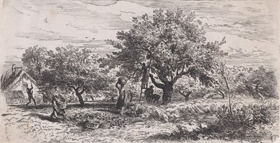 قطف الفاكهة من شجرة خارج الكوخ ، كاليفورنيا. 1852. بواسطة تشارلز إميل جاك