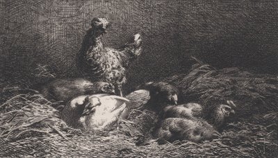 دجاج ، 1867. بواسطة تشارلز إميل جاك