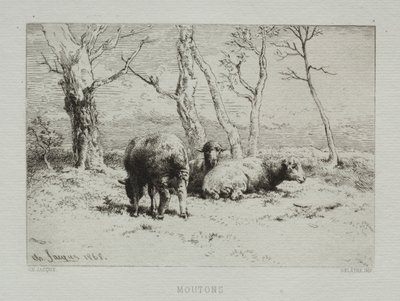 خروف ، 1868. بواسطة تشارلز إميل جاك
