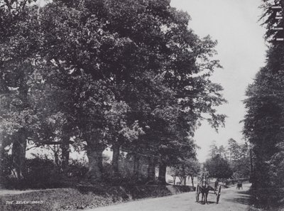The Seven Oaks (صورة b / w) بواسطة تشارلز إسينهيج كورك