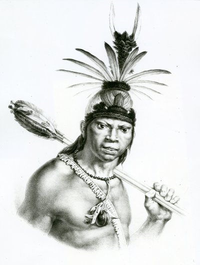 رئيس كاماكان مونغويو من "رحلة تاريخية إلى البرازيل" بقلم جان بابتيست ديبرت ، 1834 بواسطة تشارلز إتيان بيير موت