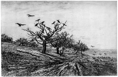شجرة الغراب ، 1840-1875 ، 1924 بواسطة تشارلز فرانسوا داوبيني