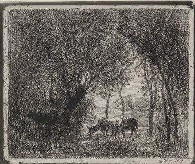 الأبقار في الغابة ، الانطباع الأصلي 1862 ، طبع في عام 1921. بواسطة تشارلز فرانسوا داوبيني