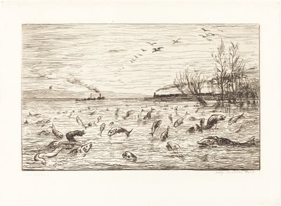 تفرح السمكة عندما يغادر صبي الكابينة (Rejouissances de poissons du Depart du mo بواسطة تشارلز فرانسوا داوبيني