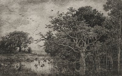 الاهوار مع اللقالق ، ج. 1851. بواسطة تشارلز فرانسوا داوبيني