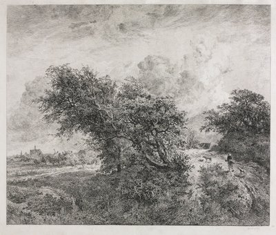 The Thicket ، 1855. بواسطة تشارلز فرانسوا داوبيني