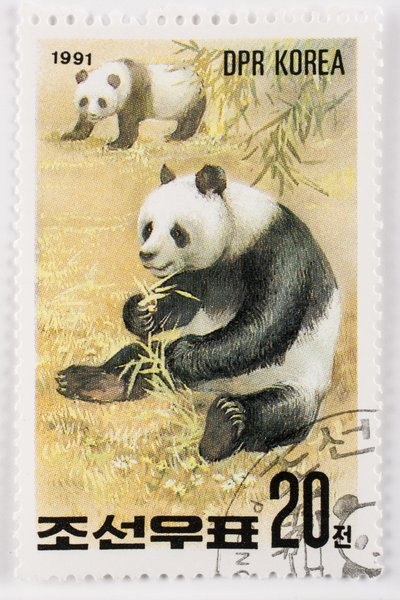 طابع / كوريا الشمالية / Ailuropoda melanoleuca / Grand panda / Giant Panda بواسطة تشارلز هنري جوزيف ليكيرت