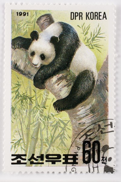 طابع / كوريا الشمالية / Ailuropoda melanoleuca / Grand panda / Giant Panda بواسطة تشارلز هنري جوزيف ليكيرت