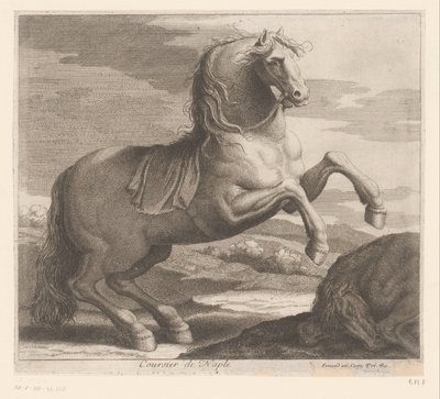 تربية الحصان Coursier de Naples (العنوان على الكائن) سلسلة الحيوانات (عنوان المسلسل) بواسطة تشارلز الثاني إيرارد (منسوب إلى)