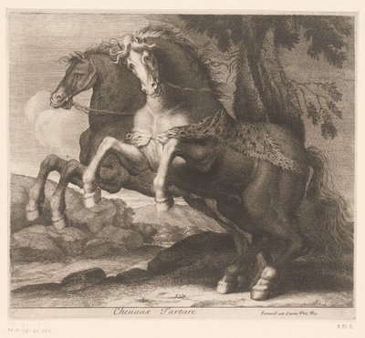 الخيول الجامحة Chevaux Tartare (العنوان على الكائن) سلسلة الحيوانات (عنوان المسلسل) بواسطة تشارلز الثاني إيرارد (منسوب إلى)