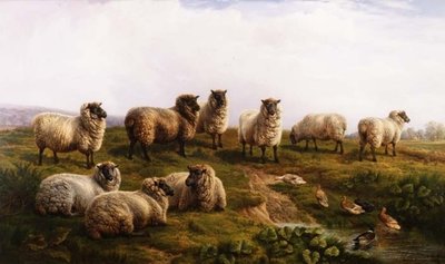 الأغنام الويلزية ذات الوجه الأسود بواسطة تشارلز جونز