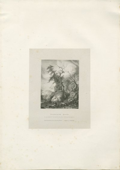 عزبة هيملي - "Bagridge Wood": الطباعة الحجرية ، [1789-1850] (مطبوعة) بواسطة تشارلز جوزيف هولمانديل