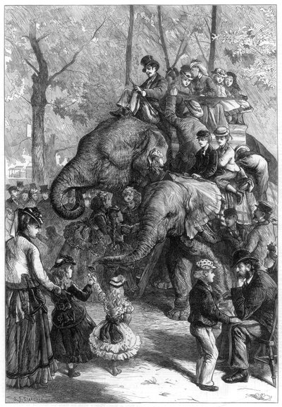 بعد ظهر يوم الإثنين في حدائق مجتمع الحيوان ، 1871. بواسطة تشارلز جوزيف ستانيلاند