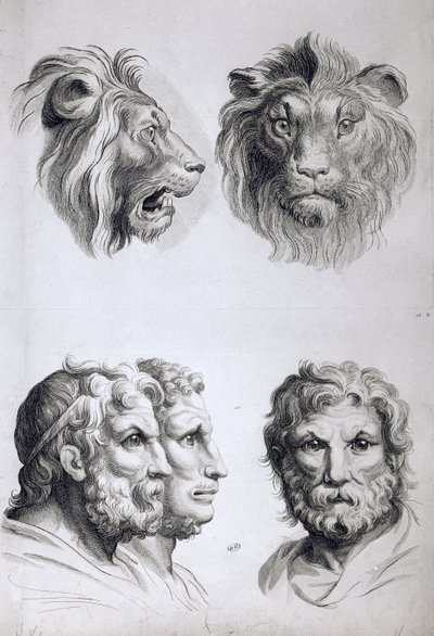 أوجه التشابه بين رأس أسد ورجل ، من كتاب بورتريه لأولئك الذين يبدأون في الرسم بقلم لو برون بواسطة تشارلز لو برون