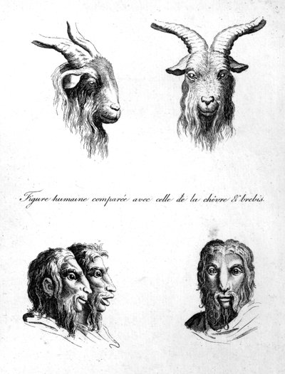 أوجه التشابه بين رأس الماعز والرجل ، من L&39;Art de Connaitre les Hommes ، المجلد. 10 جوهان لافاتر ، نقش بواسطة بيير نيكولاس رانسونيت ، نشر 1806 بواسطة تشارلز لو برون