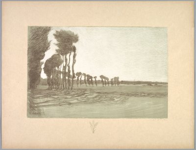 Suite de Paysages: مناظر طبيعية ، لوحة 5 ، Remarque ، ثلاث سيقان من القمح ، 1892-1893. بواسطة تشارلز ماري دولاك