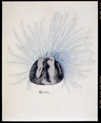 قبعة الأب - "La Mode en 1912" بواسطة مارسيل ديماي ، رسم إيضاحي لتشارلز مارتن (1884-1934) بواسطة تشارلز مارتن