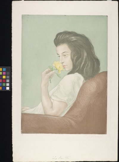 La Rose Thé (The Tea Rose) (نقش ونقش مائي على ورق كريمي) بواسطة تشارلز مورين