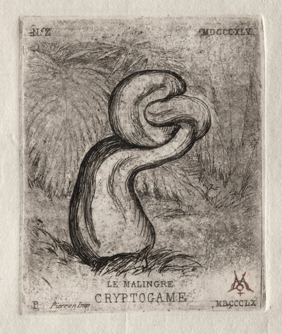The Sickly Cryptogam ، 1860. بواسطة تشارلز ميريون