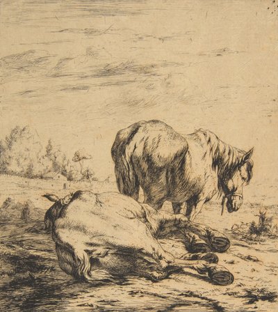 خيلان ، 1850. بواسطة تشارلز ميريون