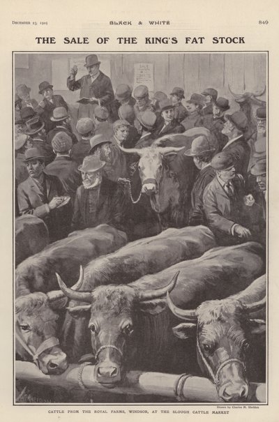 Cattle from the royal farms at Windsor on sale at Slough cattle market, Berkshire (litho) بواسطة تشارلز ميلز (بعد) شيلدون