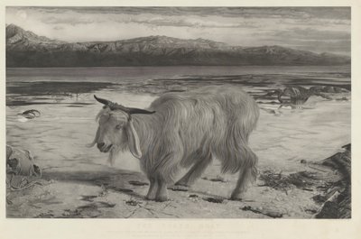 كبش الفداء بواسطة Charles Mottram after William Holman Hunt