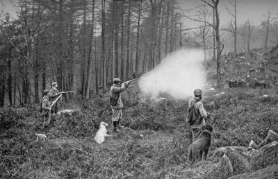 في الأغطية ، c1902 ، 1903 بواسطة تشارلز ريد