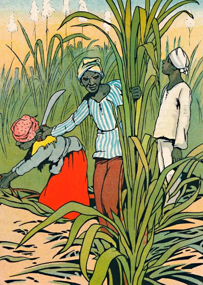 في العمل بين قصب السكر ، 1912 بواسطة تشارلز روبنسون