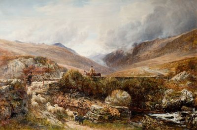 بالقرب من Llanbedr ، بارماوث ، 1872. بواسطة تشارلز توماس بيرت