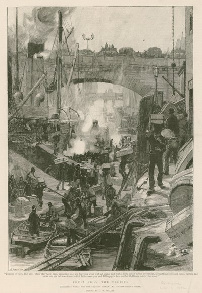 Fruit from the Tropics (engraving) بواسطة تشارلز ويليام ويلي