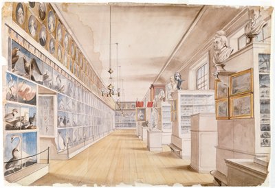 The Long Room ، الجزء الداخلي من الغرفة الأمامية في متحف Peales ، 1822 (مرحاض فوق الجرافيت على ورق) بواسطة تشارلز ويلسون بيل