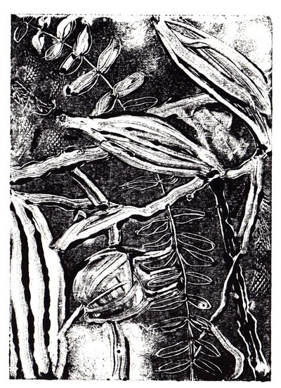 نباتات الحبر ، 2019 (monoprint) بواسطة شارلوت أور