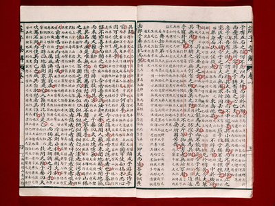 Page from a Book of Poetry by Chuang-Tzu (ink on paper) بواسطة المدرسة الصينية