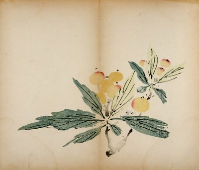 مطبوعات استوديو Ten Bamboo ، 1643 (لوح خشبي) بواسطة المدرسة الصينية