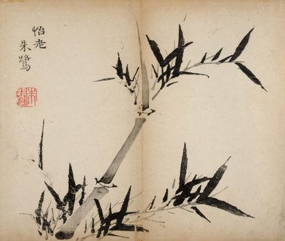 مطبوعات استوديو Ten Bamboo ، 1643 (لوح خشبي) بواسطة المدرسة الصينية