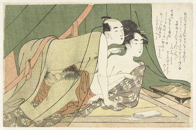 زوج الحب تحت ناموسية بواسطة Chôkyôsai Eiri