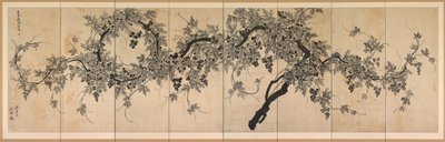كرمة بواسطة Choe Seok hwan
