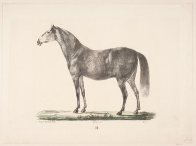 الحصان د بواسطة كريستيان ديفيد جباور