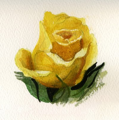  بواسطة كريستيان فور