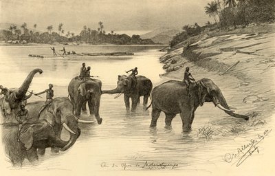 الأفيال على ضفاف نهر ماهاويلي ، سيلان ، 1898. بواسطة كريستيان فيلهلم أليرز