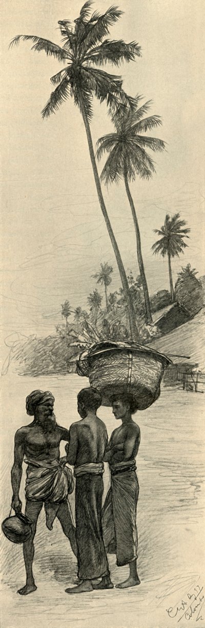 مجموعة من الرجال ، كولومبو ، سيلان ، 1898. بواسطة كريستيان فيلهلم أليرز